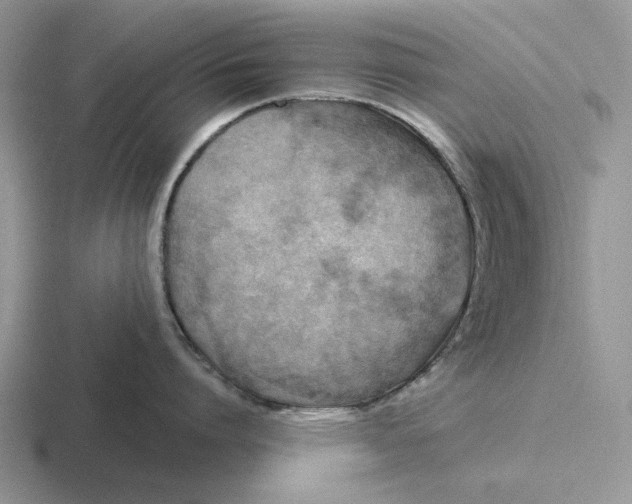 X0000116670864201001041128