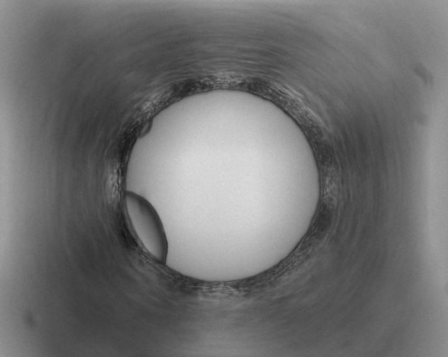 X0000116670866201001041127