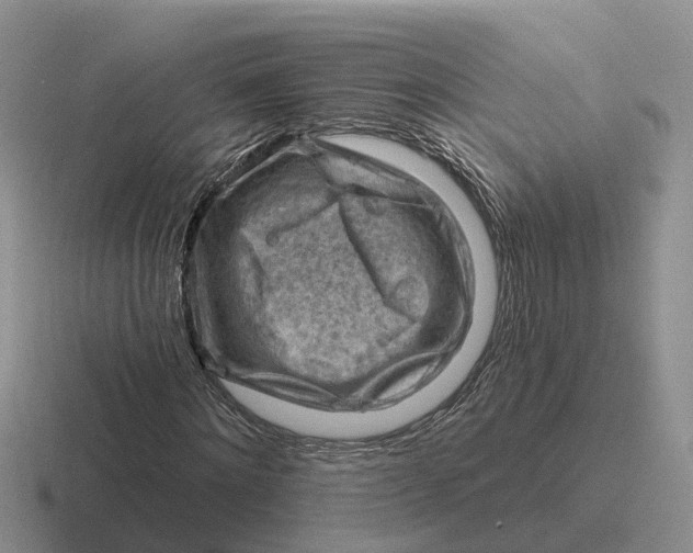 X0000116670868201001041127