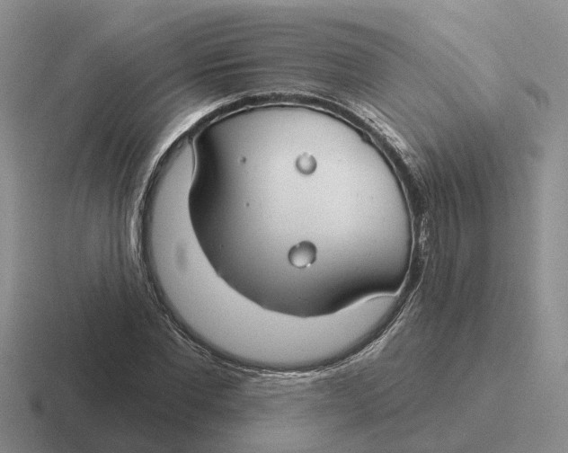 X0000116670877201001041127