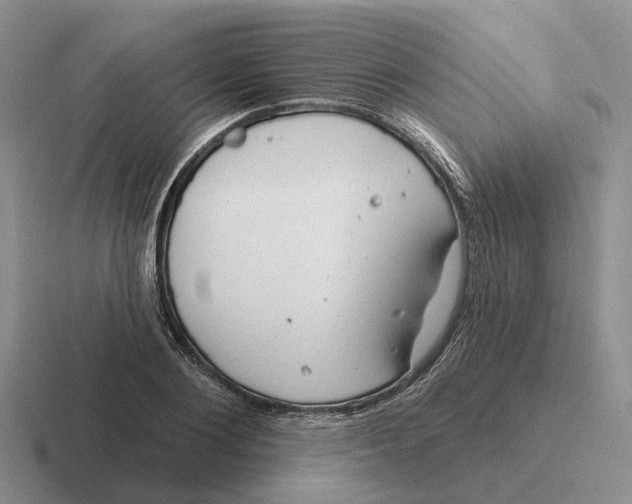 X0000116670884201001041127