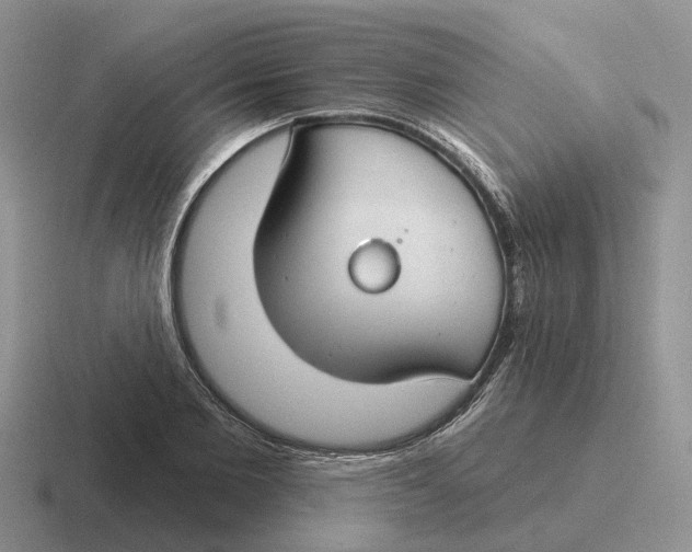 X0000116670885201001041127