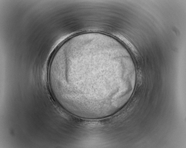 X0000116670886201001041127