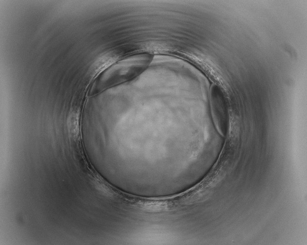 X0000116670889201001041127