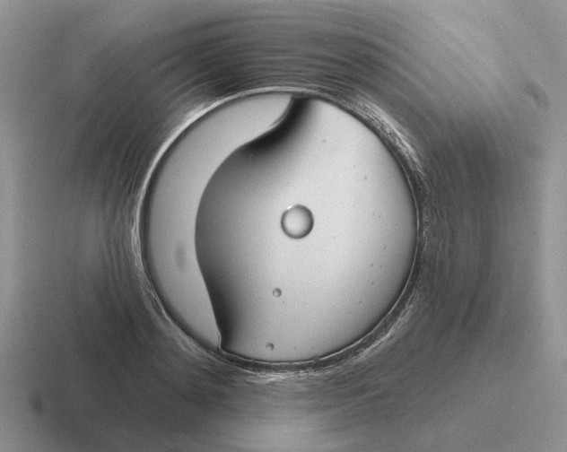 X0000116670892201001041127