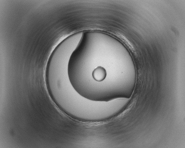 X0000116670893201001041127