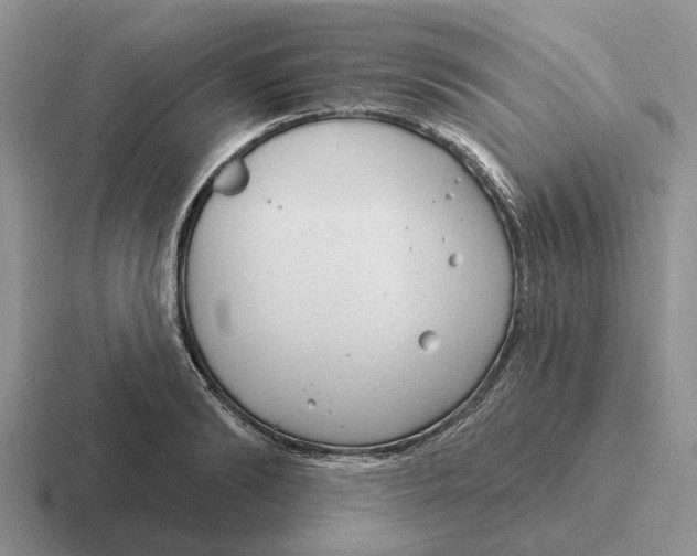 X0000116670894201001041127