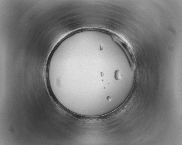 X0000116670895201001041127