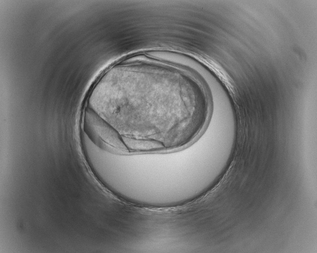 X0000116670896201001041127