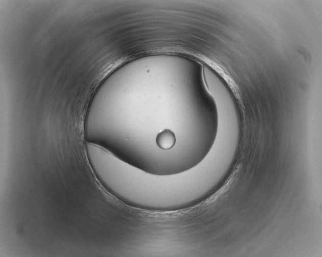 X0000116670897201001041127