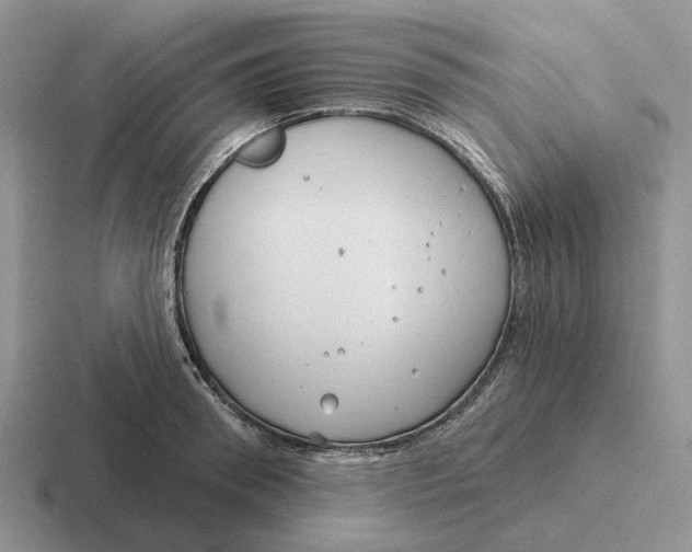 X0000116670898201001041127