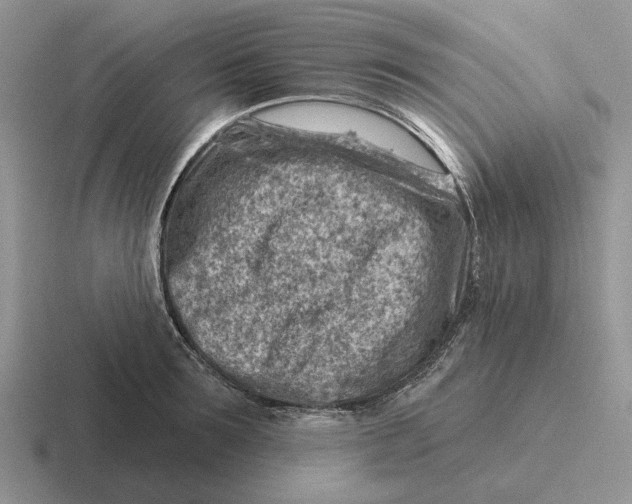 X0000116670899201001041127