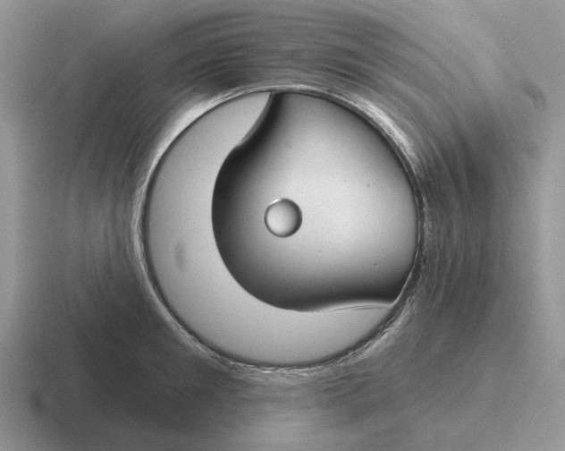 X0000116670901201001041127