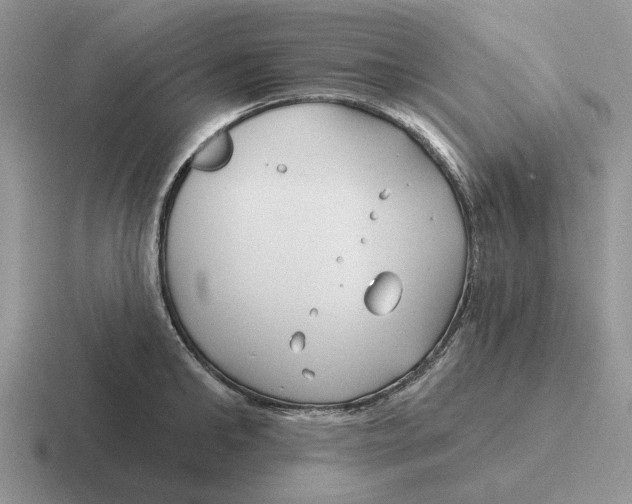 X0000116670902201001041127