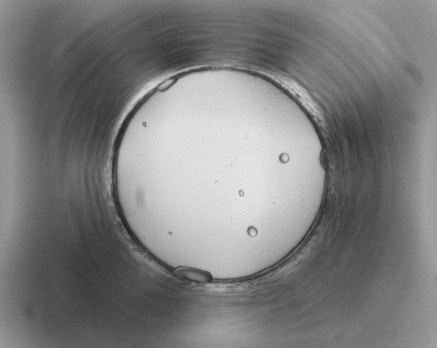 X0000116670904201001041127