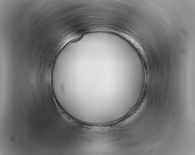 X0000116670905201001041127