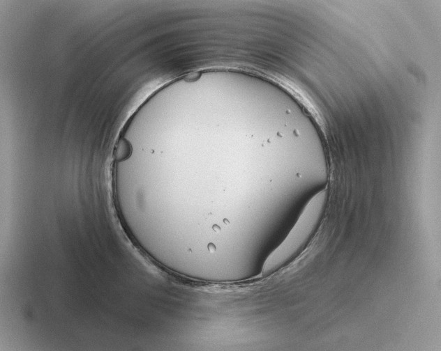 X0000116670906201001041127