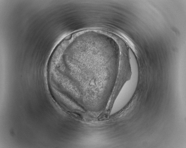 X0000116670907201001041127