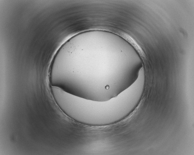 X0000116670908201001041127