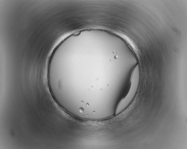 X0000116670910201001041127