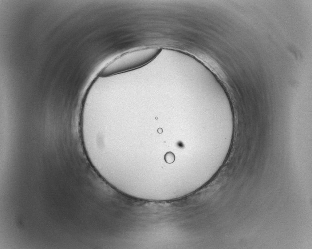 X0000116670912201001041127