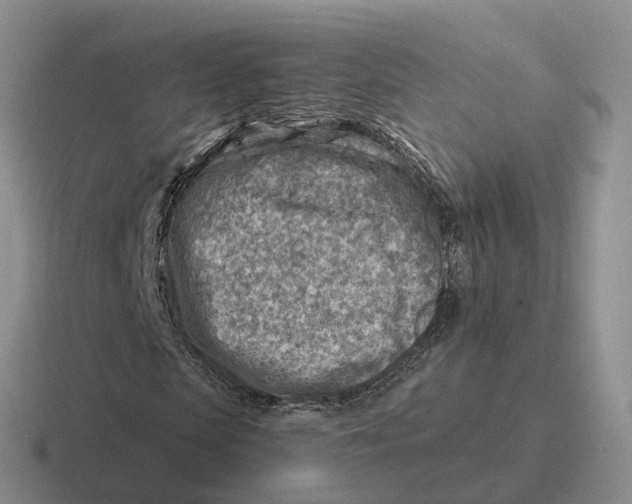 X0000116670913201001041126