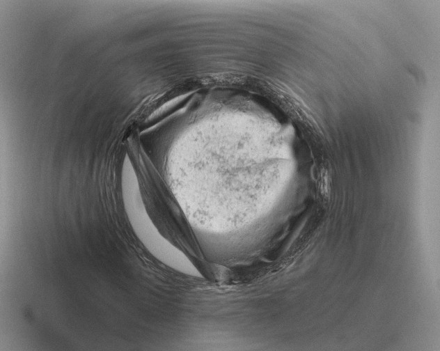 X0000116670915201001041126