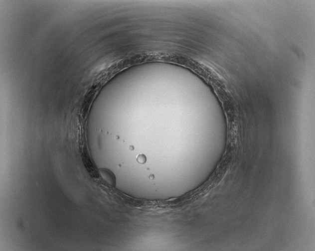 X0000116670917201001041126