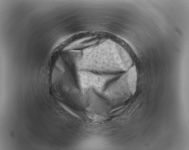 X0000116670919201001041126