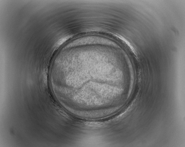 X0000116670921201001041126