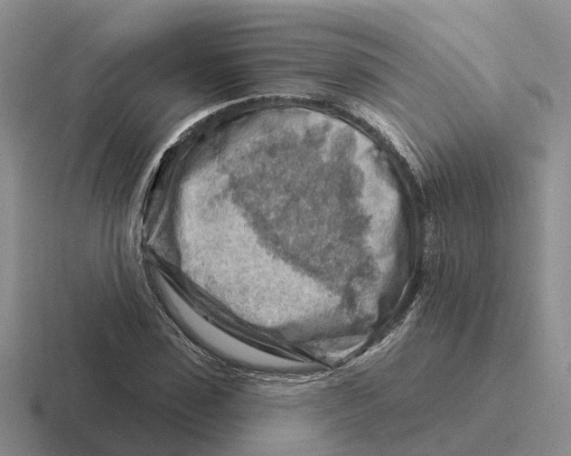 X0000116670923201001041126