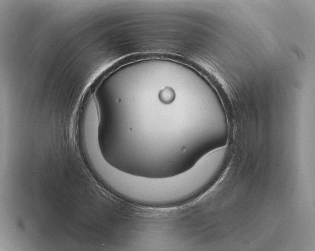 X0000116670925201001041126