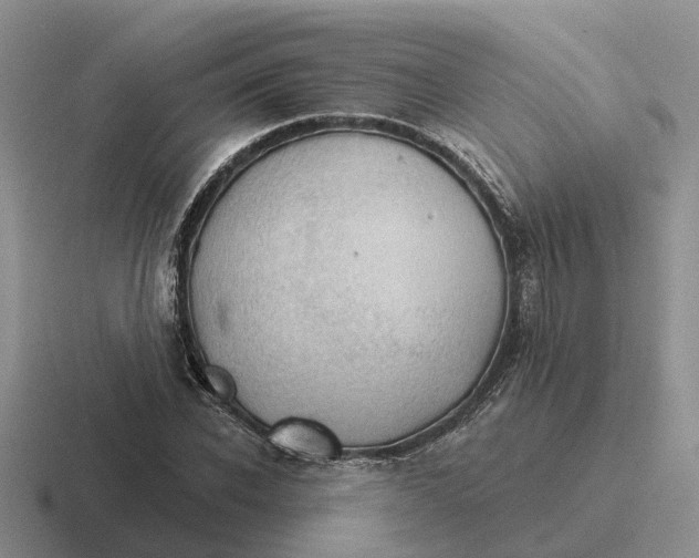 X0000116670926201001041126