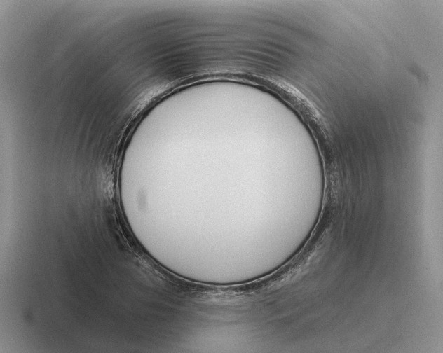 X0000116670929201001041126