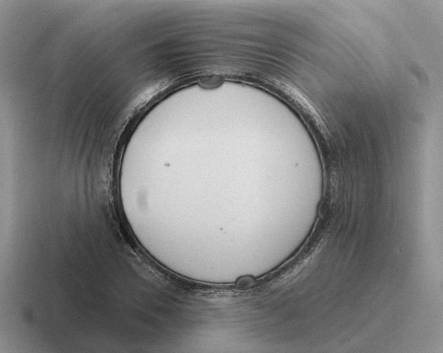 X0000116670930201001041126