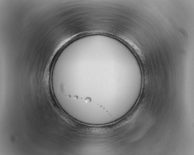 X0000116670933201001041126