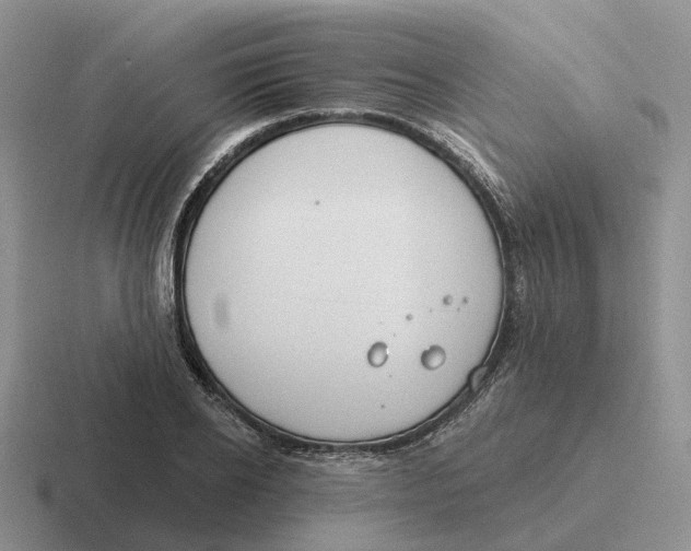 X0000116670934201001041126