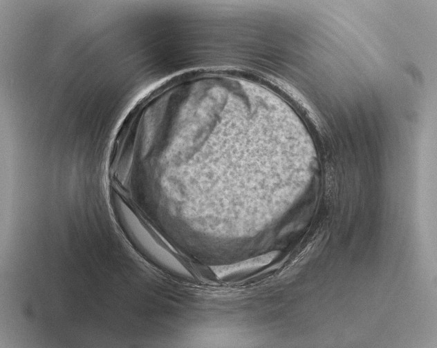 X0000116670935201001041126