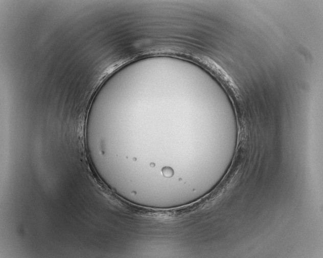 X0000116670937201001041126