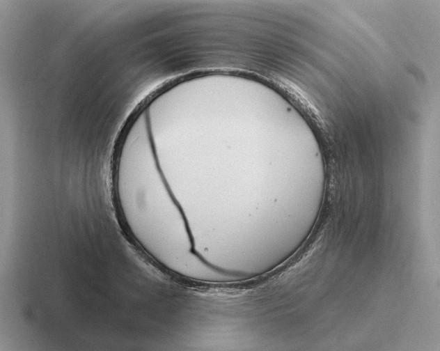 X0000116670942201001041126