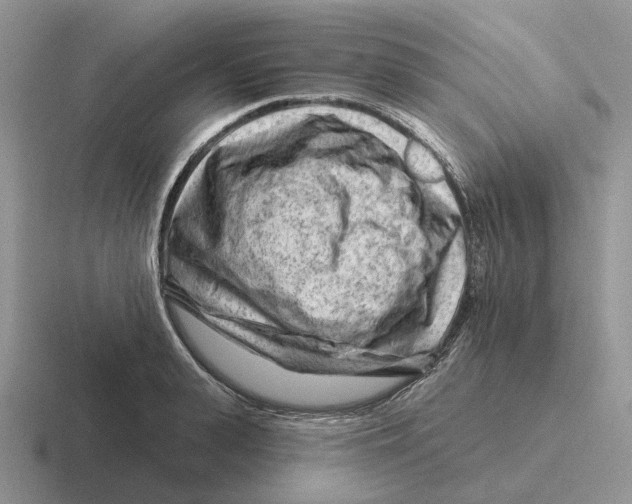 X0000116670943201001041126