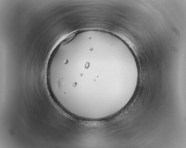 X0000116670949201001041127