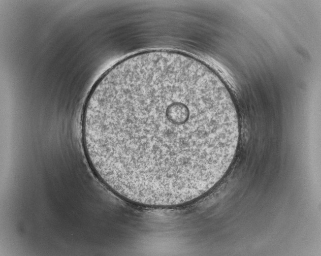 X0000116670950201001041127