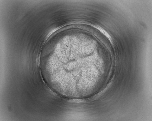 X0000116670953201001041127