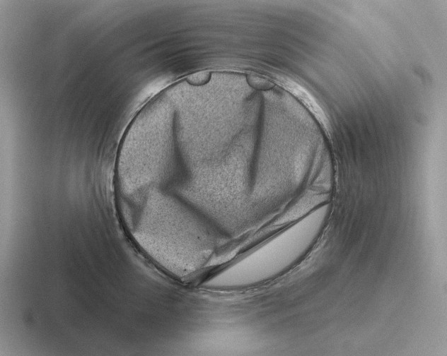 X0000116670954201001041127