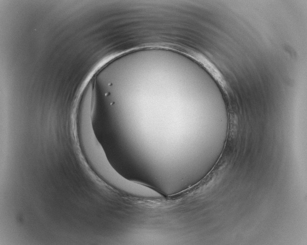 X0000116670955201001041127