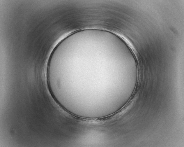 X0000116670957201001041127