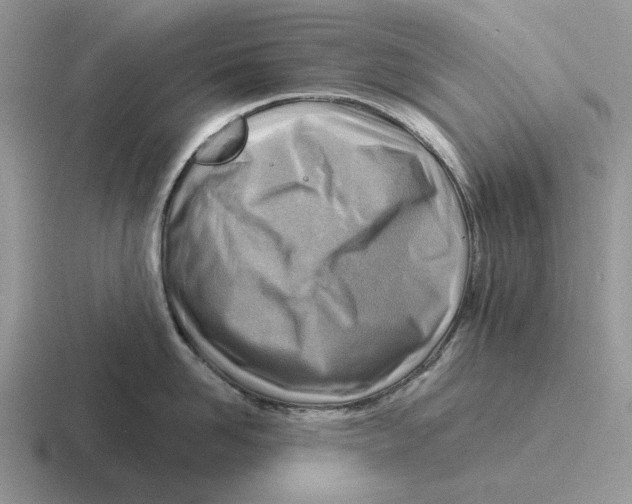 X0000116670958201001041127