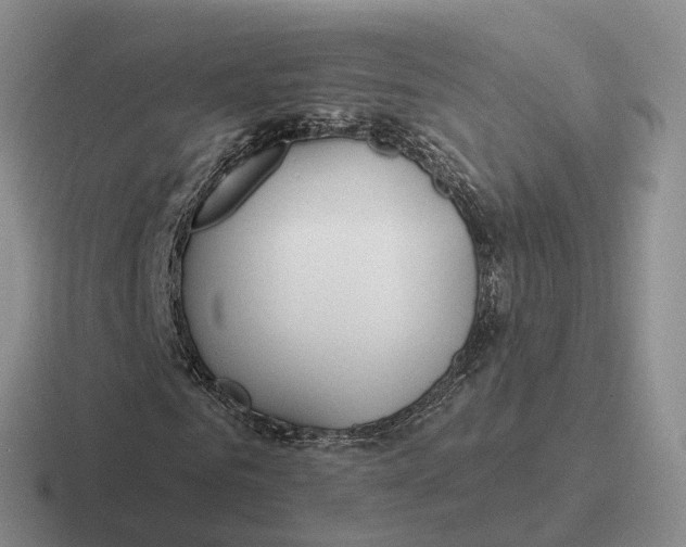 X0000116670961201001041126