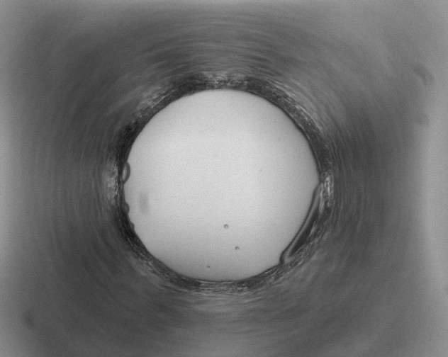 X0000116670963201001041126